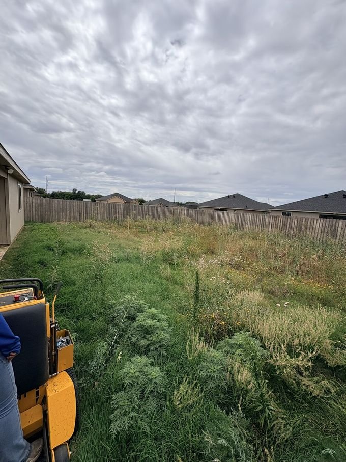 Back Yard before overgrown cleanup, Abilene, TX
