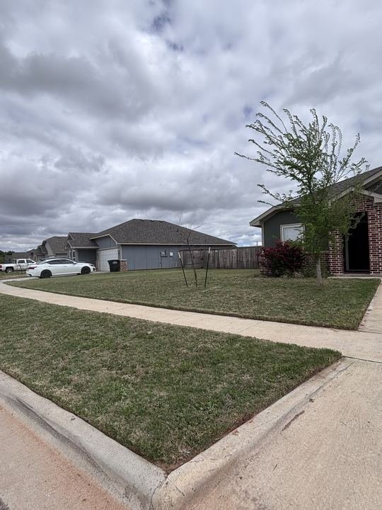 Front Yard, overgrown cleanup lawn service in Abilene, TX