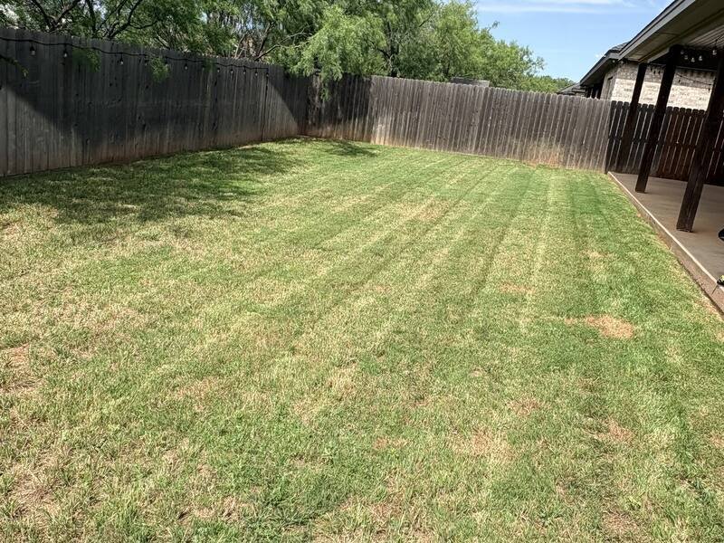 Backyard mowing stripes, Abilene, TX