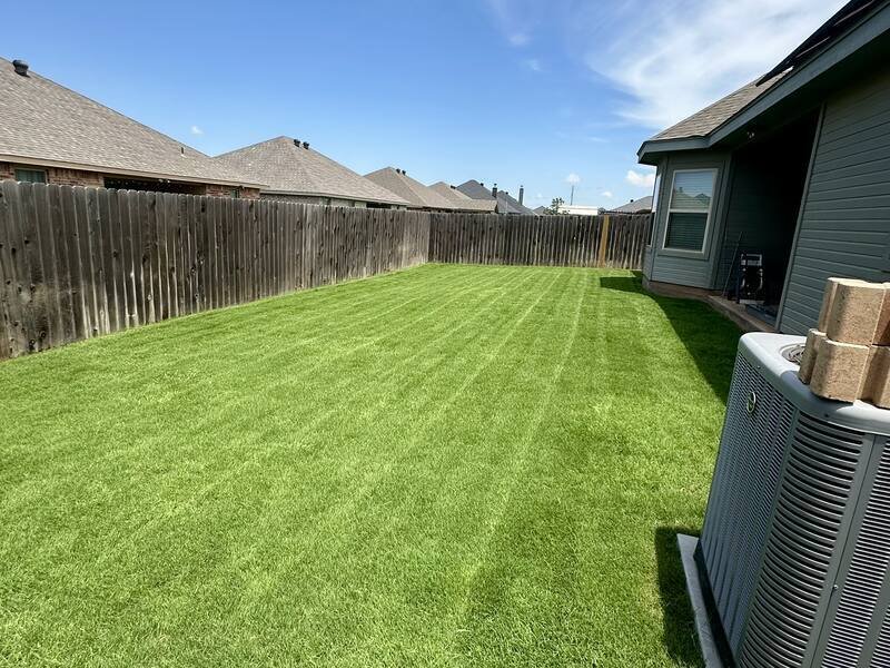 Striped backyard lawn after mowing, Abilene, TX