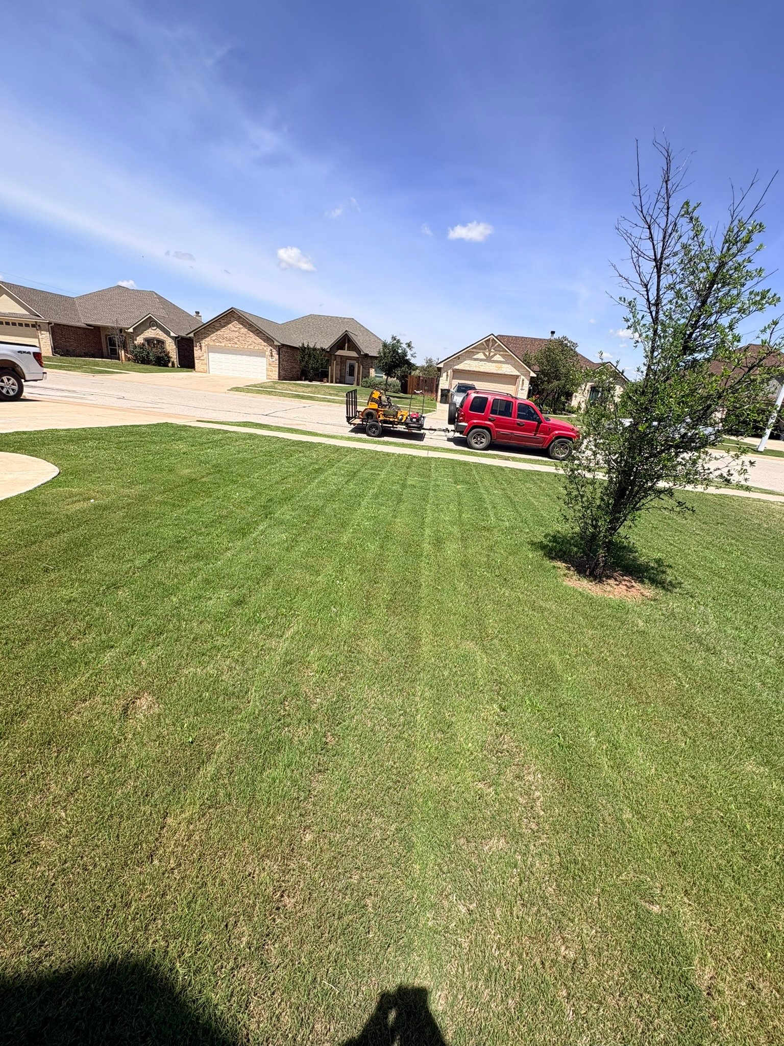 Mow stripes on large front yard — Abilene TX