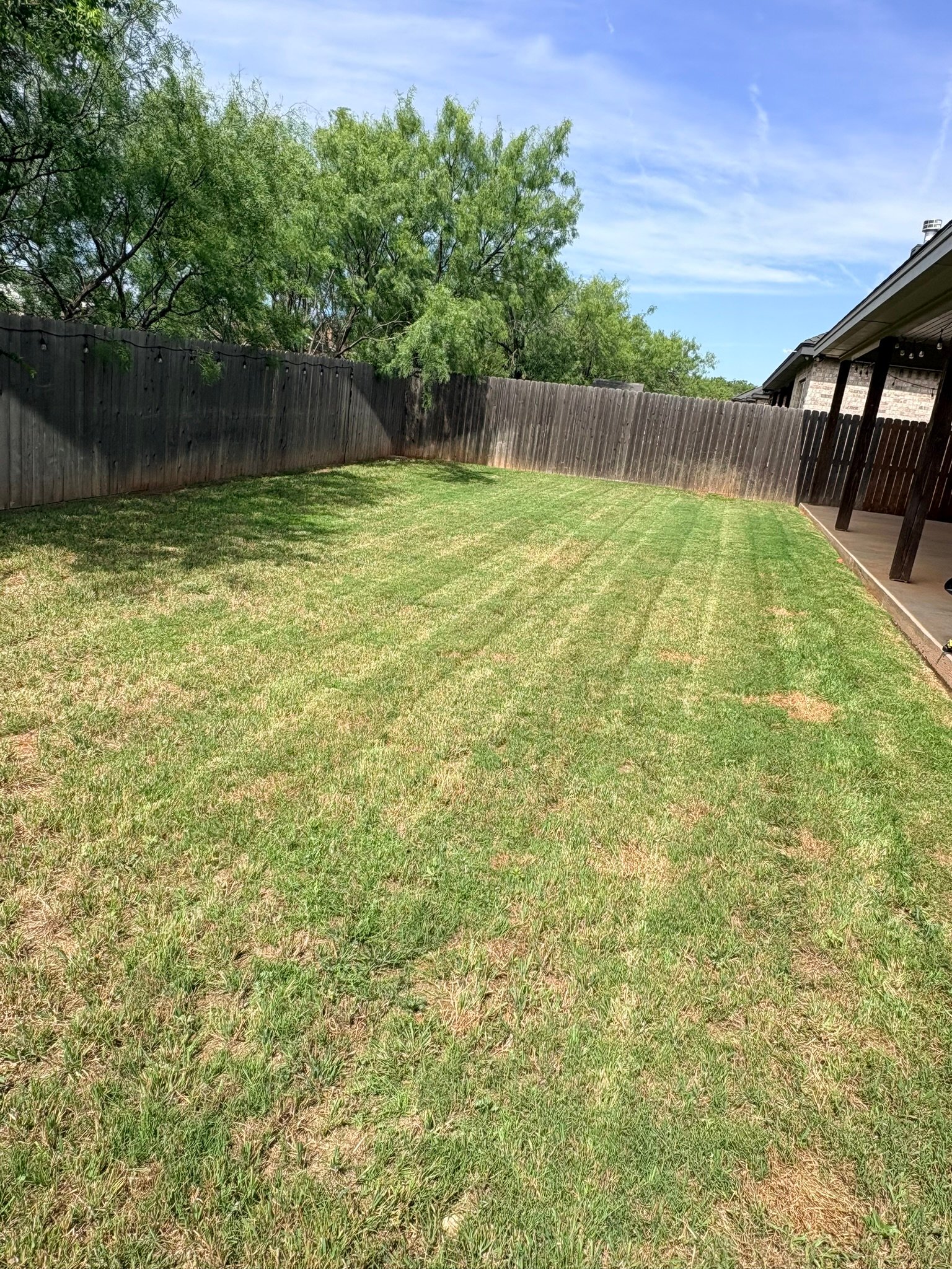 Fenced backyard mowing — Abilene TX