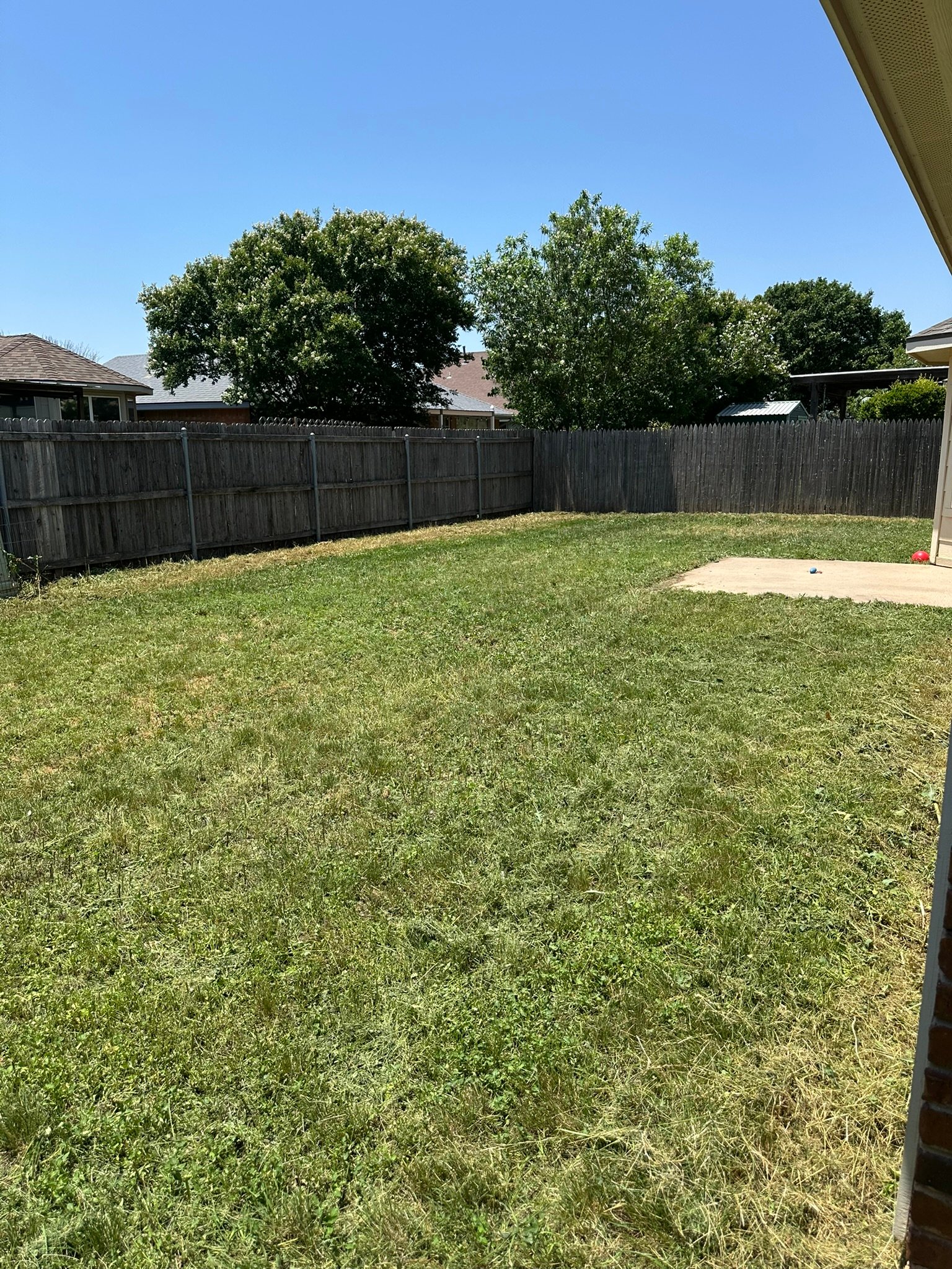 Backyard cleanup after mow — Abilene TX