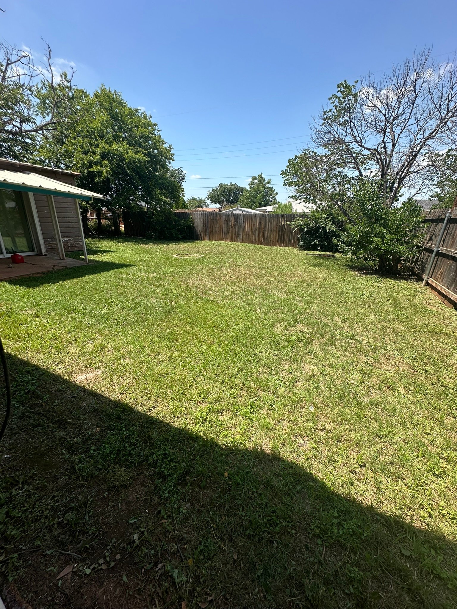 Fenced backyard after overgrown cleanup — Abilene TX